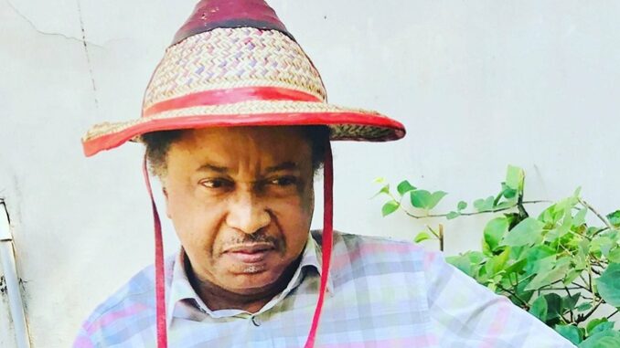 Shehu-Sani