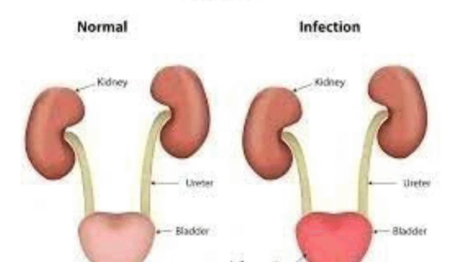 Screenshot_20251020-065133