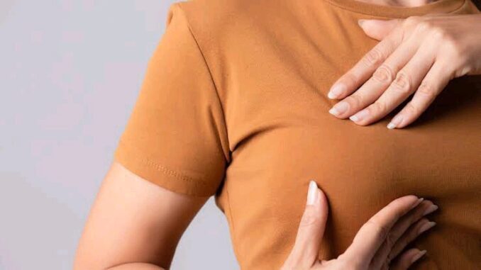 operanews1760939605911